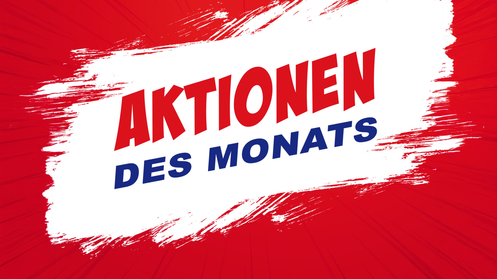 Rotes Banner mit weißem Pinselstrich und dem Text 'AKTIONEN DES MONATS'.