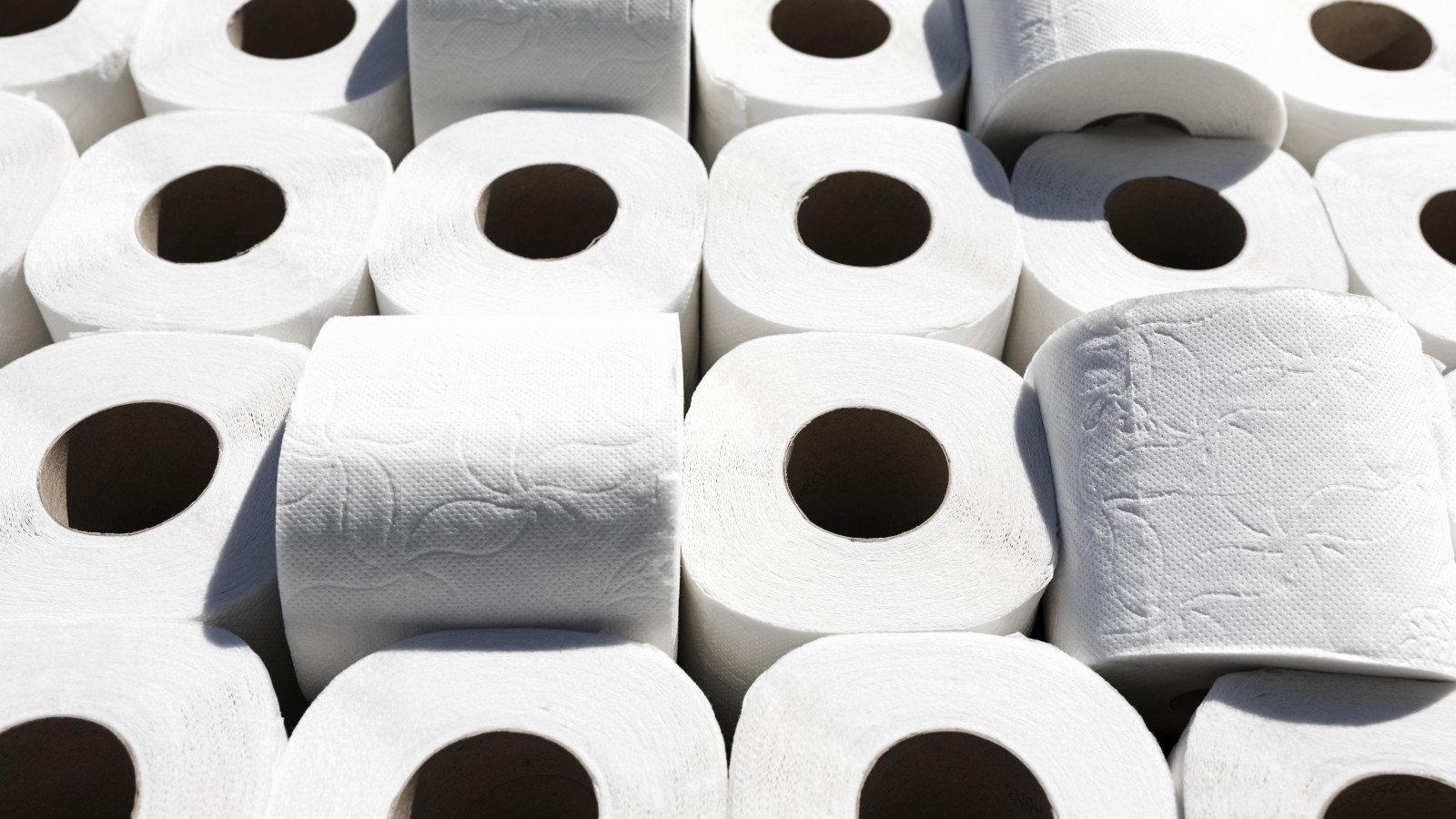 Mehrere Rollen Toilettenpapier, geordnet und gleichmäßig verteilt.